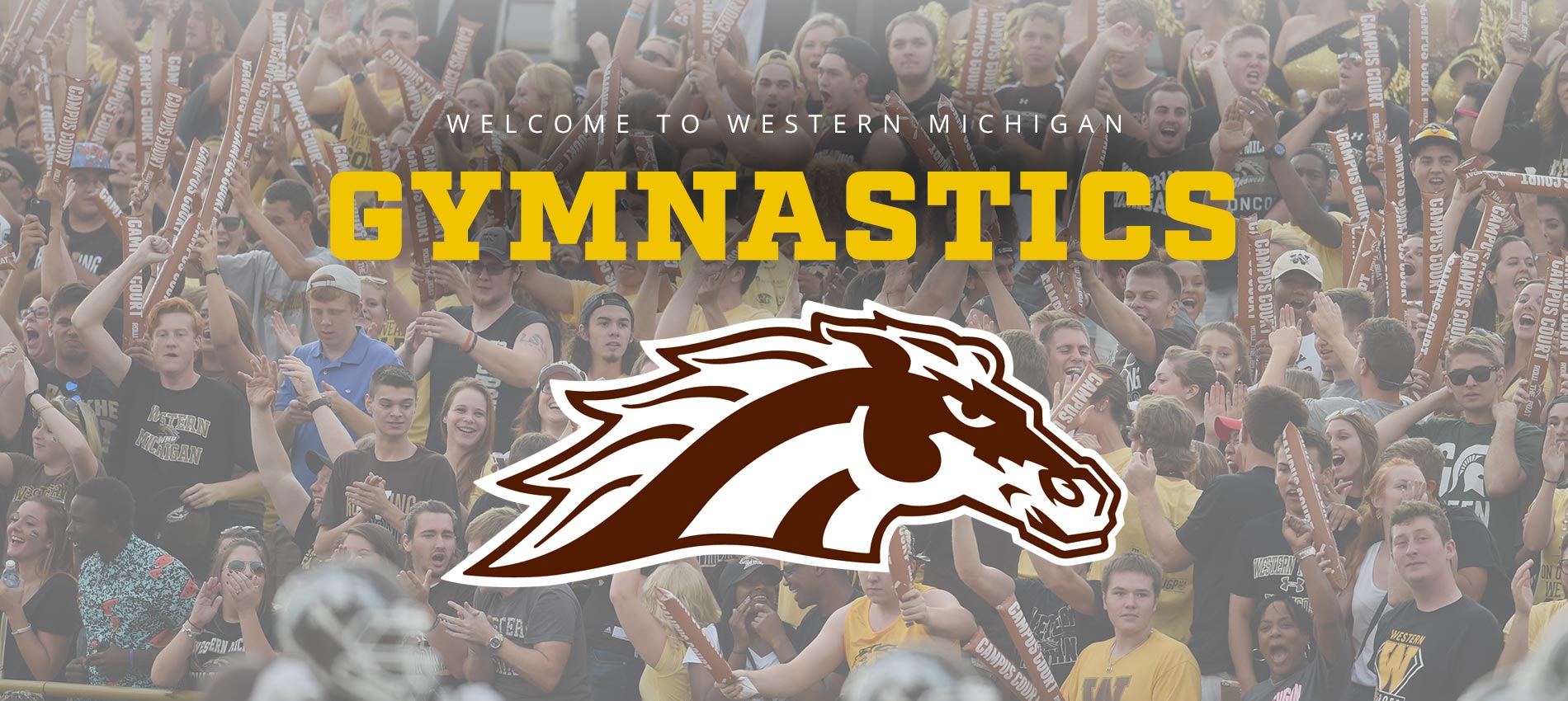 Western Michigan Gymnastics