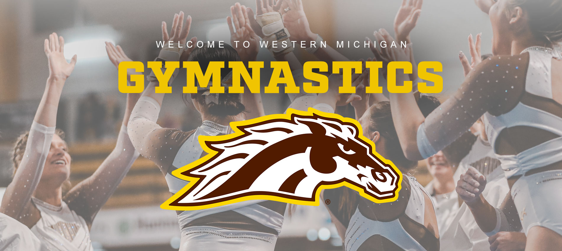 Western Michigan Gymnastics